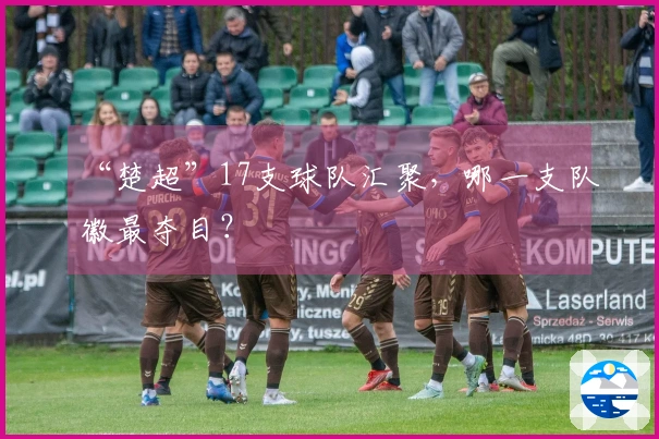 “楚超”17支球队汇聚，哪一支队徽最夺目？