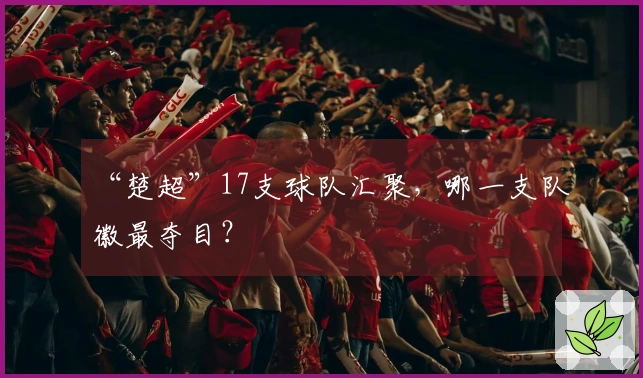 “楚超”17支球队汇聚，哪一支队徽最夺目？