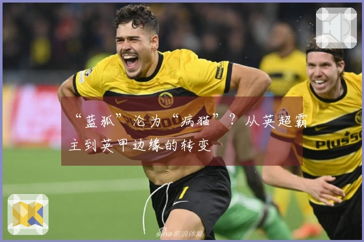 “蓝狐”沦为“病猫”？从英超霸主到英甲边缘的转变