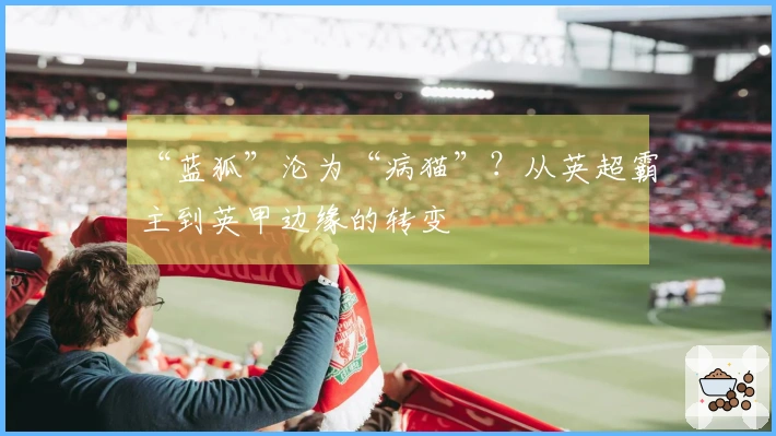 “蓝狐”沦为“病猫”？从英超霸主到英甲边缘的转变